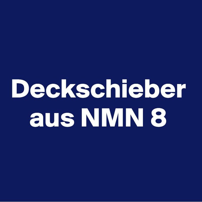 Deckschieber aus NMN 8, FI 14040 - 0,360 mm dick, 1000 x 22 x 8,0 mm